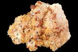 Ruby Red Vanadinite Crystals on Pink/Orange Barite - Morocco #80527-3